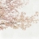 Blossom Almond Tree panel Coordonné Pink 6500306N