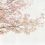 Papeles pintados panorámico Blossom Almond Tree Coordonné Pink 6500306N