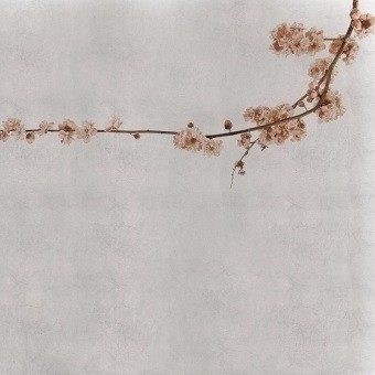 Blossom Branch Panel Grey Coordonné