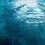 Carta da parati panoramica Continue en Route Underwater Coordonné Aqua 6500205N