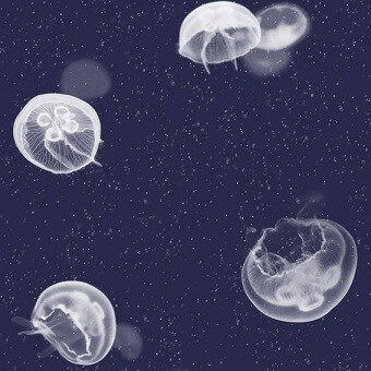 Tapete Jellyfish