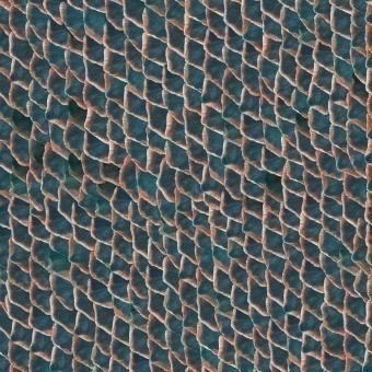 Fish Skin Wallpaper