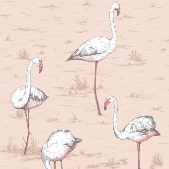 Flamingos Restyled Wallpaper Rose Cole and Son