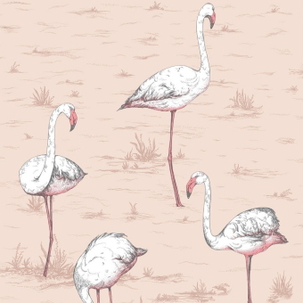 Papel pintado Flamingos