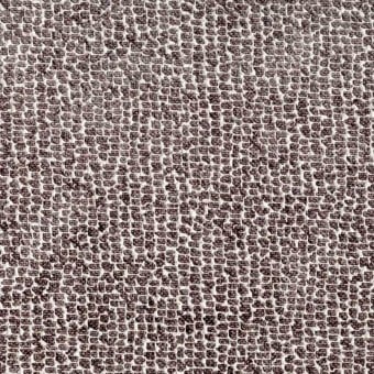 Sun Bear Fabric