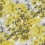 Tessuto Monet Rubelli Giallo Napoli Grigio 30162-001