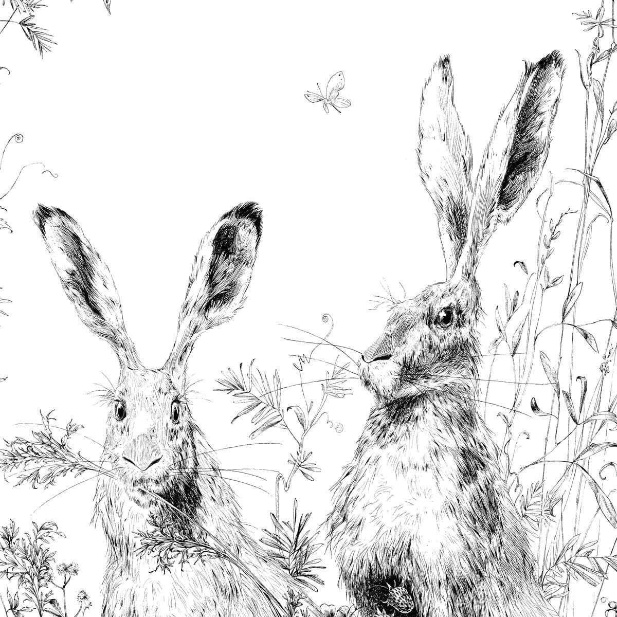 Papier peint panoramique Lièvres Droit - Edmond Petit, image size:1200x1200