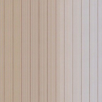Vertical Stripe Wall covering