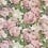 The Rose Fabric John Derian Tuberose FJD6006/02