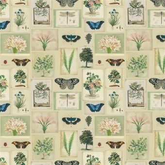 Flora And Fauna Fabric Parchment John Derian