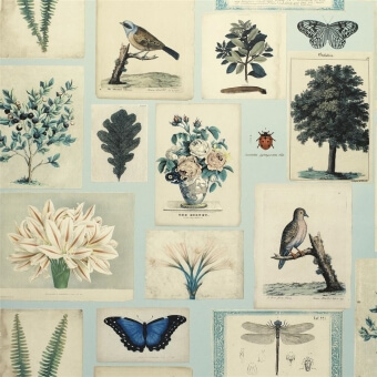 Flora And Fauna Wallpaper Canvas John Derian