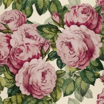 The Rose Wallpaper Sépia John Derian