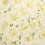 Variegated Azelea Wallpaper John Derian Mimosa PJD6004/03