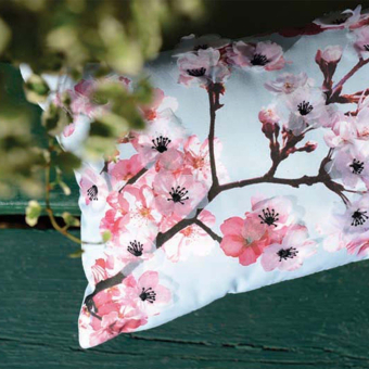 Coussin Eclosions