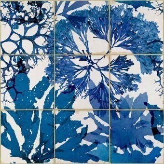 Papier peint panoramique Algae in blue Blue/Taupe Mindthegap