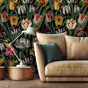 Panoramatapete Tulipa