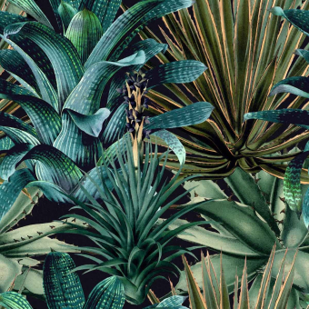 Papier peint panoramique Lush Succulents Green/Black Mindthegap