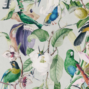 Papeles pintados Tropical Birds