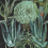 Carta da parati panoramica Succulentus Mindthegap Green/Anthracite WP20167
