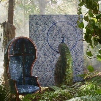 Tissu Tigris