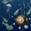 Papier peint panoramique Nautilus Droit Edmond Petit Bleu/Marine RM109-03