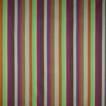Tanchoi Fabric