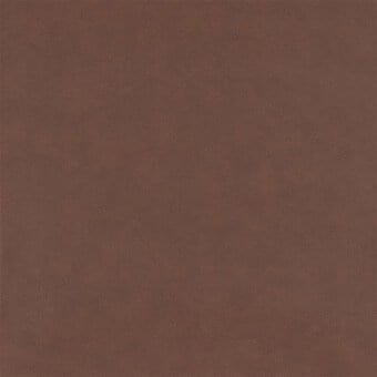 Carta da parati Vintage Leather