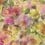 Papier Peint Surimono Designers Guild Berry PDG1062/01