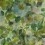 Carta da parati Surimono Designers Guild Moss PDG1062/05