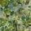 Surimono Wallpaper Designers Guild Moss PDG1062/05