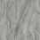 Amazone Wallpaper Casamance Acier 74280170