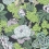 Honshu Wallpaper Thibaut Grey T75484
