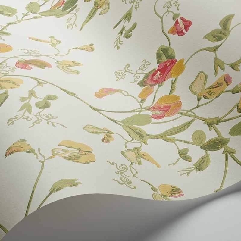 Sweet Pea Wallpaper Cole and Son