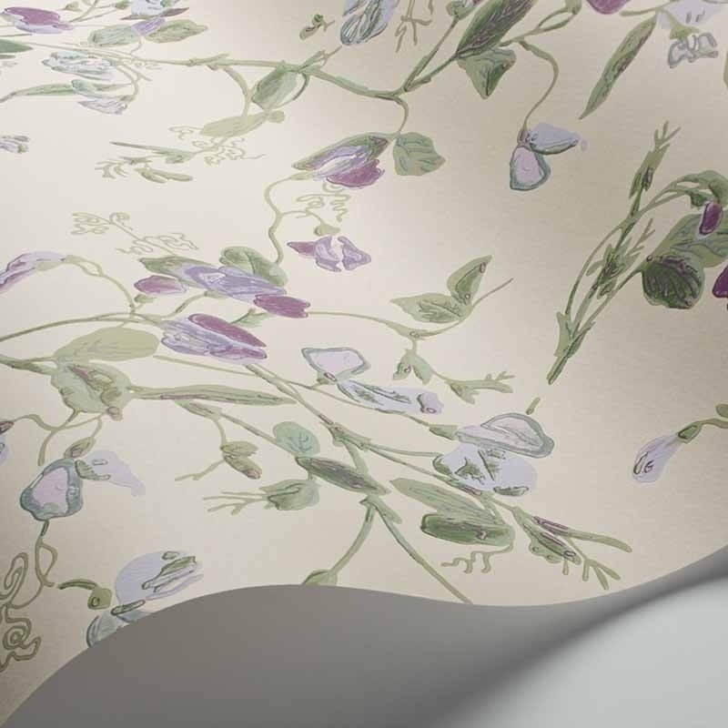 Sweet Pea Wallpaper Cole and Son
