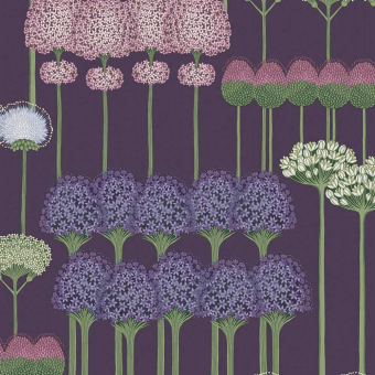 Allium Wallpaper Violet/Rose Cole and Son