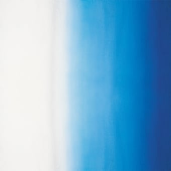 Saraille Fabric