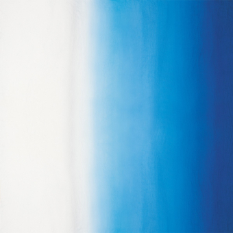 Stoff Saraille