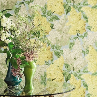 Lilac Wallpaper Jaune/Vert Cole and Son