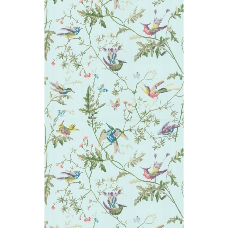 Hummingbirds Wallpaper Cole and Son