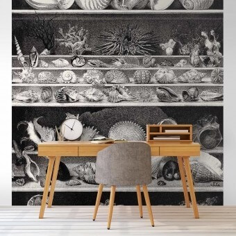 Papier peint panoramique Coquillages et Crustacés