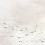 Papeles pintados panorámico Koi Coordonné Light 6600081