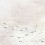 Papier peint panoramique Koi Coordonné Light 6600081