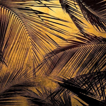 Carta da parati panoramica Palms