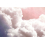 Papeles pintados Clouds Coordonné Pink 6800703N