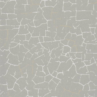 Papel pintado Fissure