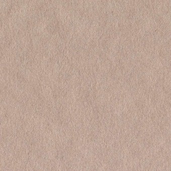 Carta da parati Plaster