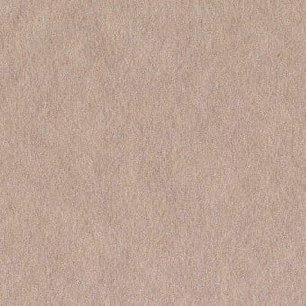 Plaster Wallpaper
