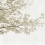 Carta da parati panoramica Blossom Almond Tree Coordonné Grey 6500305N
