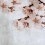 Carta da parati panoramica Blossom Big Almond Flower Coordonné 553x270 cm 6500309N