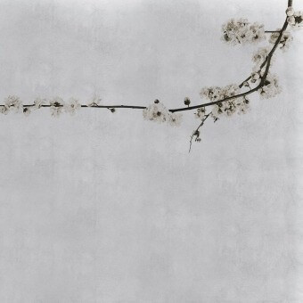 Paneel Blossom Branch Grey Coordonné